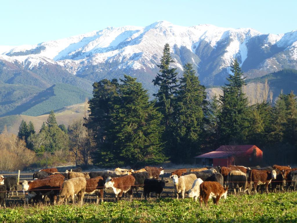 Hanmer Springs Scenic Views Motel Room photo